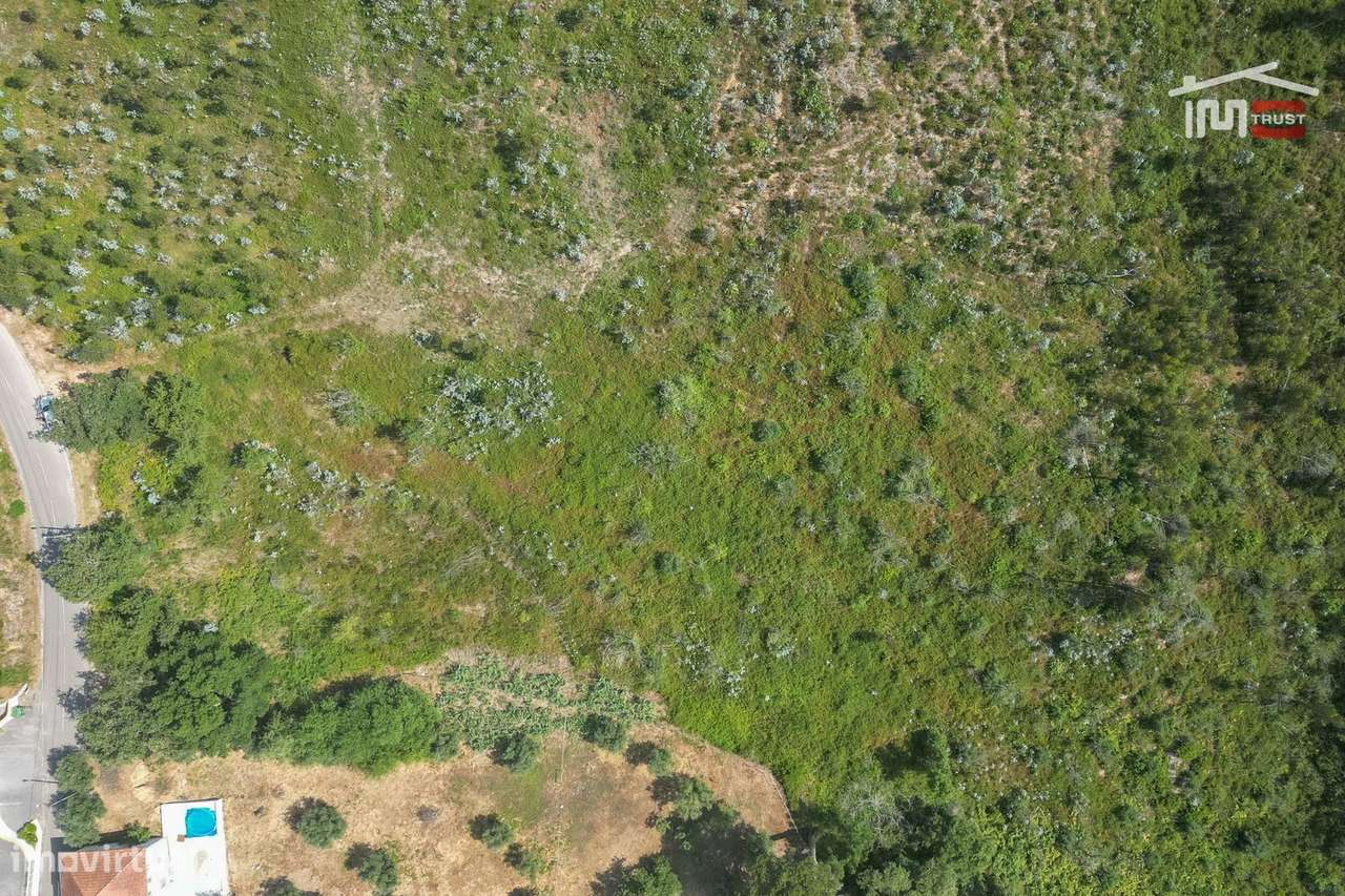 Terreno com 18.600 m2 no Olival - Grande imagem: 4/15