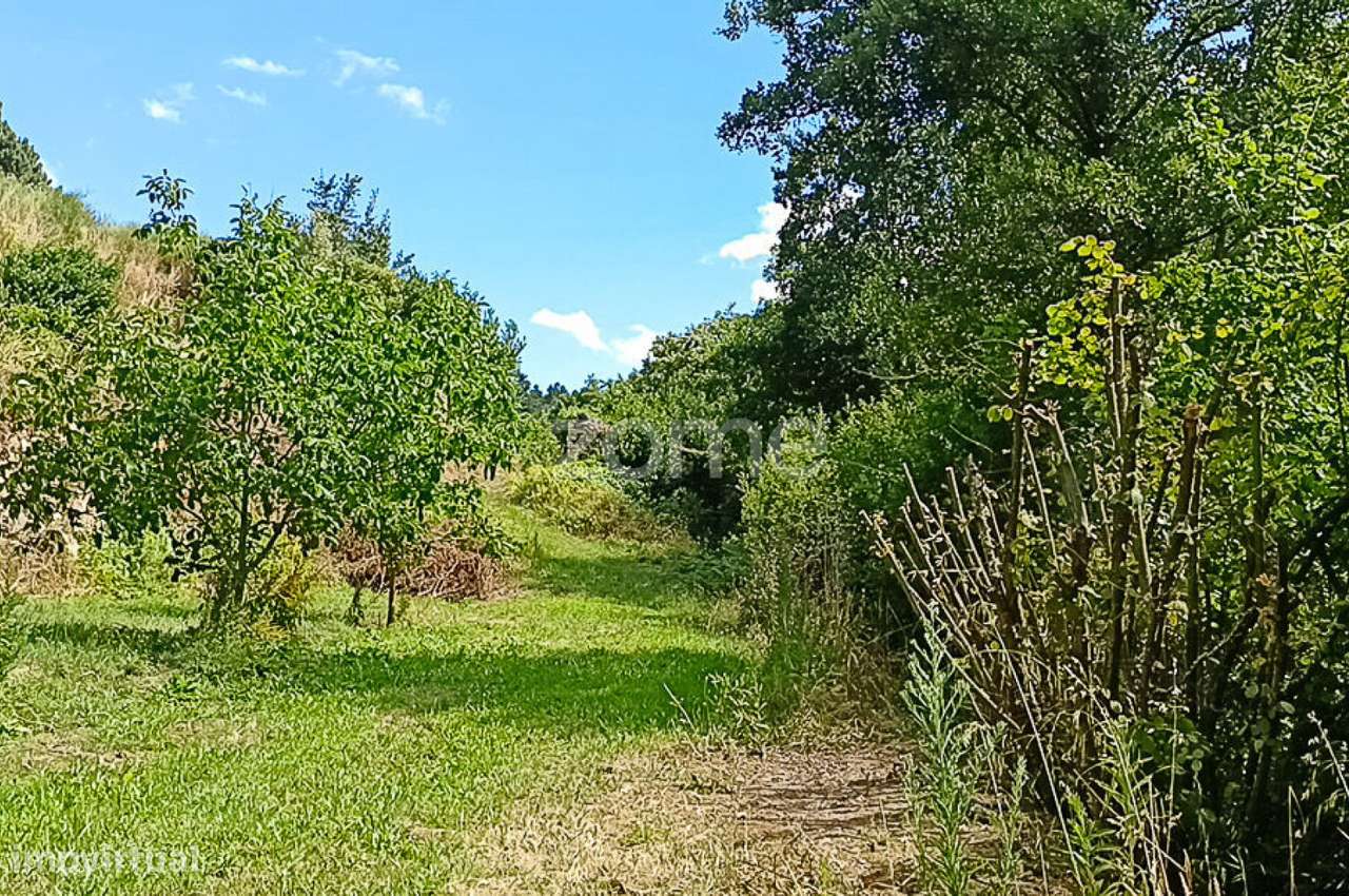 Quinta do Mosteiro de Salzedas com mais 17 ha e património histórico-51