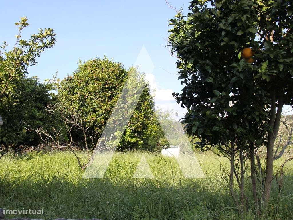 Quinta T6 histórica para recuperação, Guimarães.-31