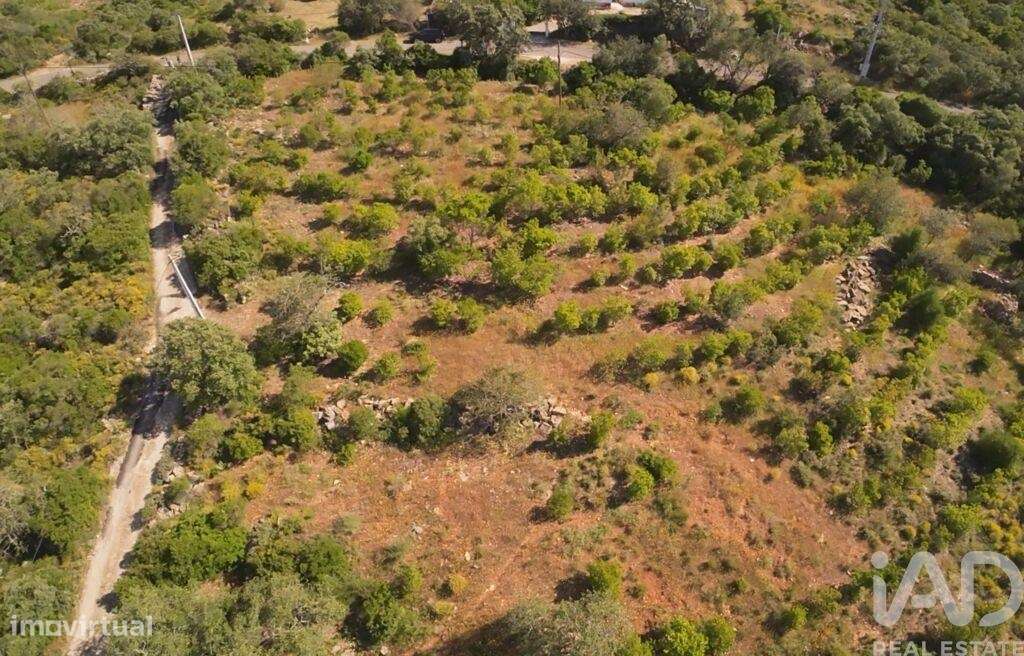 Terreno em Conceição e Estoi de 7320,00 m2 - Grande imagem: 4/7