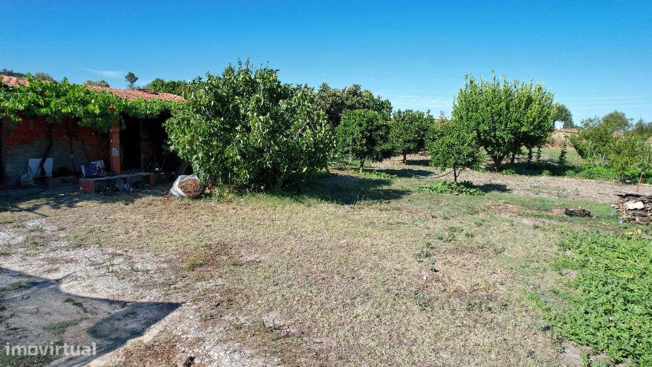 Quinta - Grande imagem: 5/12