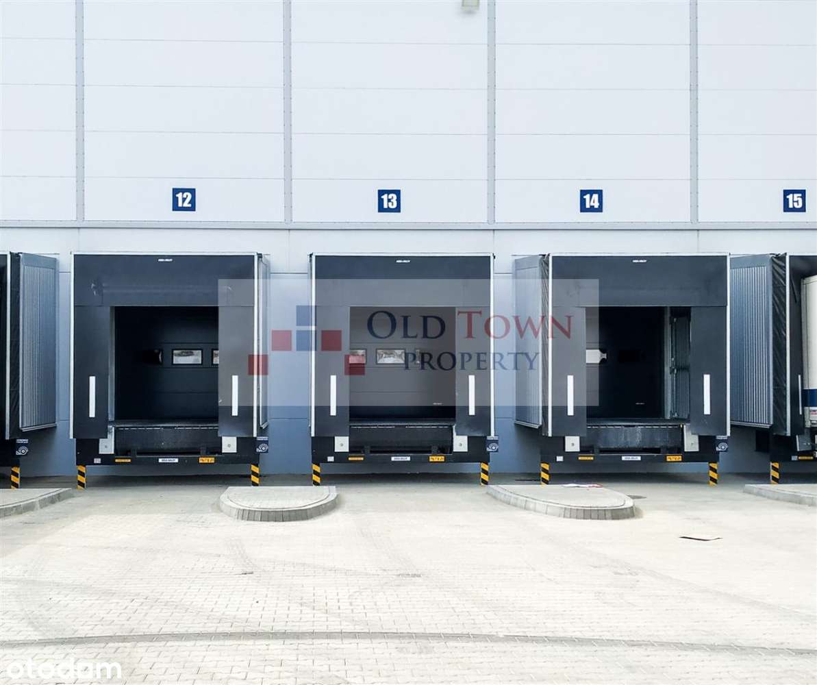 Nowoczesny magazyn klasy A 5000m2 - Pełny obrazek: 3/4