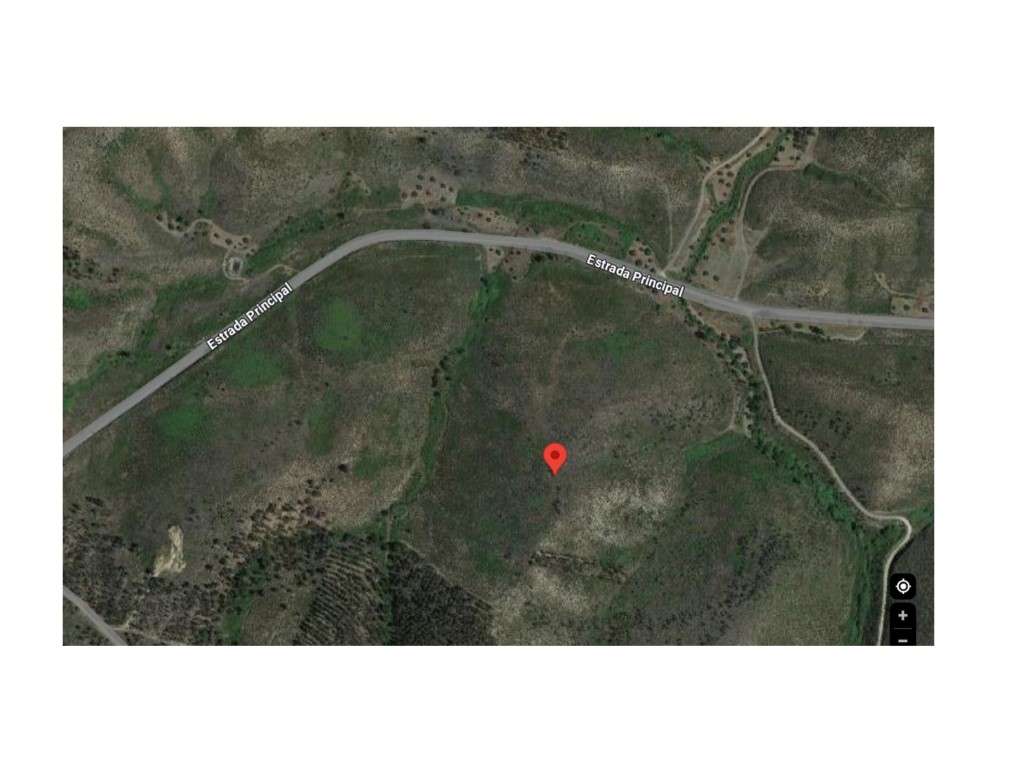 Terreno Rústico com 1.410 m² - Covoloa, Freguesia de Mação ️ - Grande imagem: 4/4