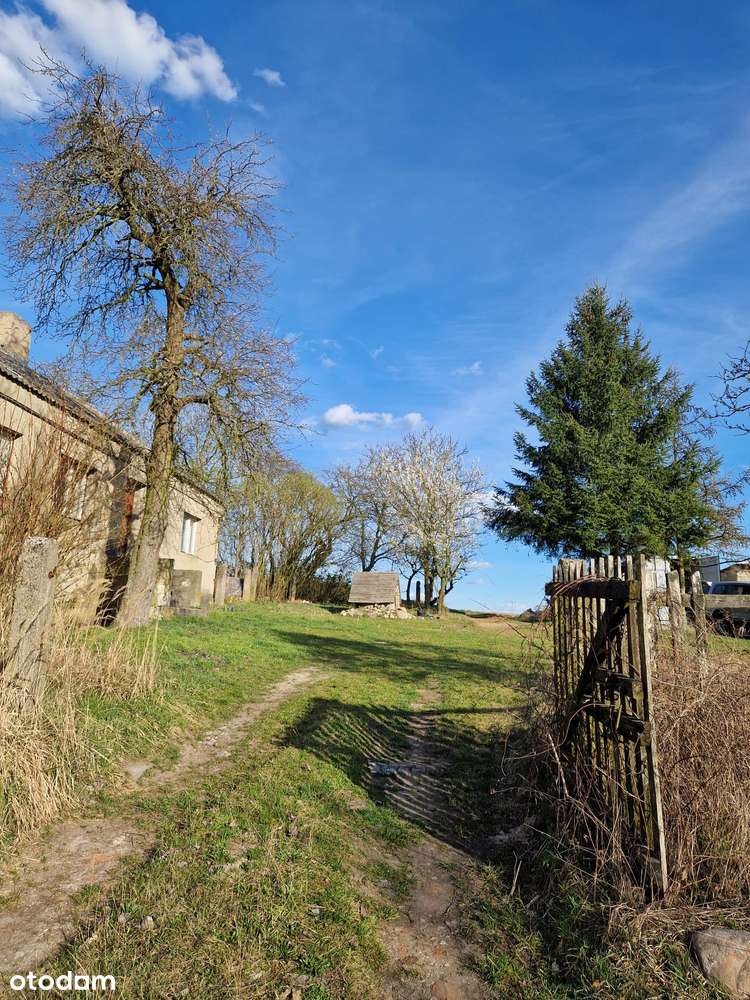 urokliwe siedlisko - Pełny obrazek: 5/19