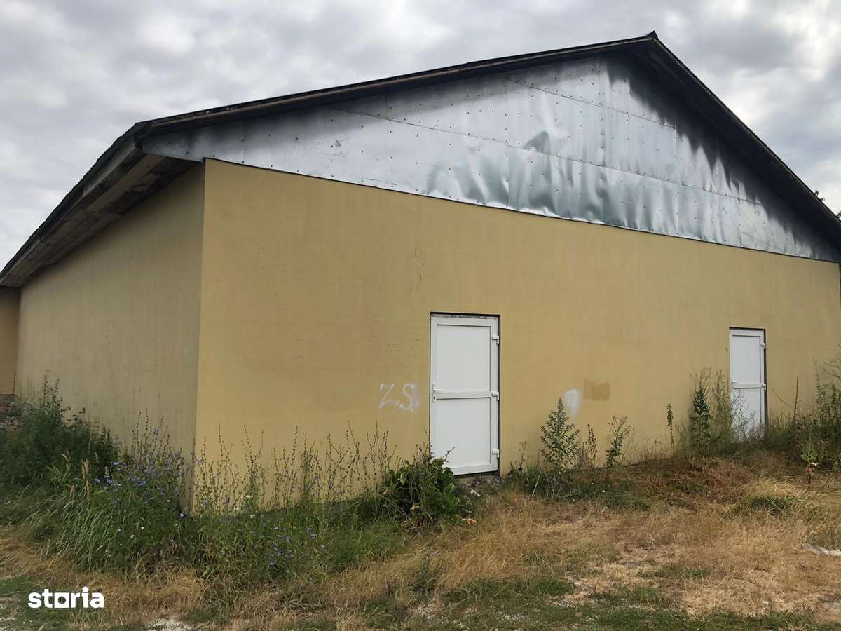 Inchiriez hala 671mp, constructie noua, sat Spinus - Imagine principală: 1/8