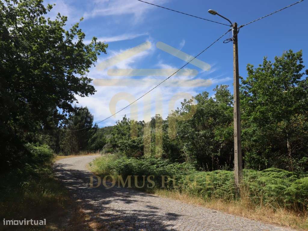 Terreno com 17.800 m², Casa para Reconstruir e mina de Água - Soalh...-21