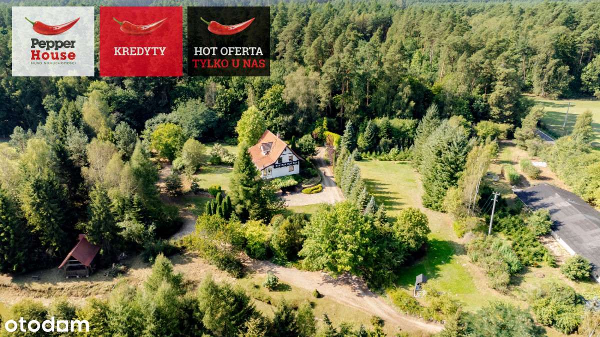 Urokliwy dom a'la leśniczówka, 1,2 HA przy lesie - Pełny obrazek: 5/20
