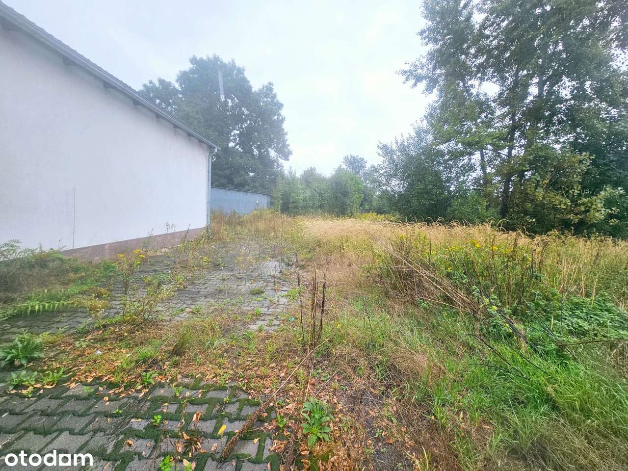 Przestronna działka inwestycyjno-budowlana - Pełny obrazek: 4/6