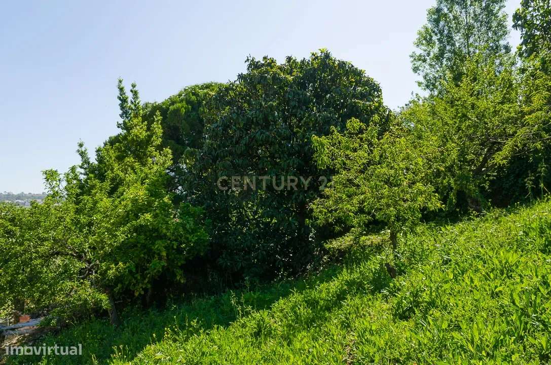 Prédio com Vista Panorâmica na zona Histórica de Alcobaça-9