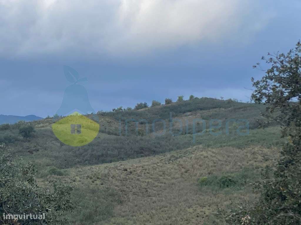 TERRENO RÚSTICO COM 29,296 m2 COM CULTURA ARVENSE - Grande imagem: 3/25