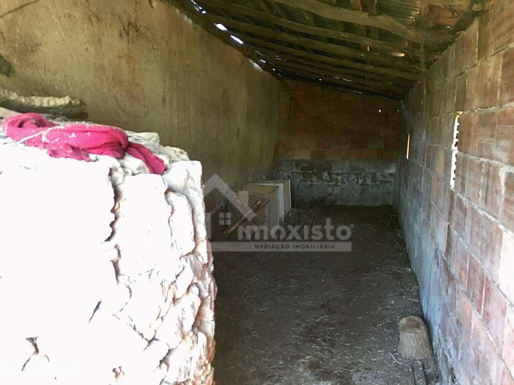 Casa de Campo T3 em Arega, Figueiró dos Vinhos-50