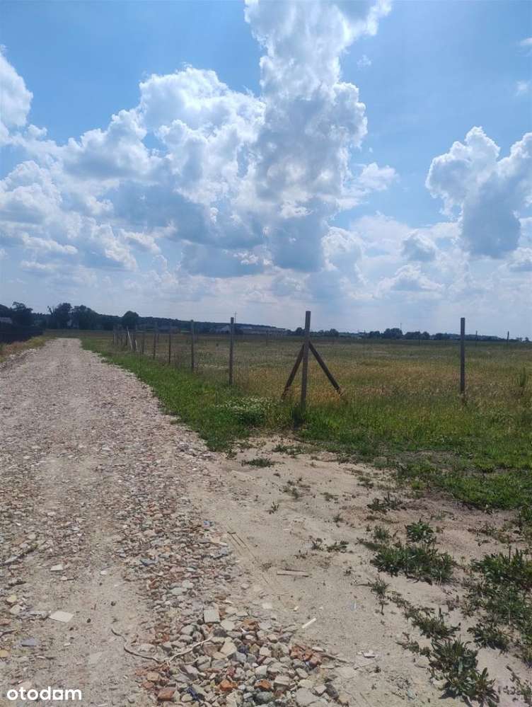 Działki Sepno koło Zielątkowa-0