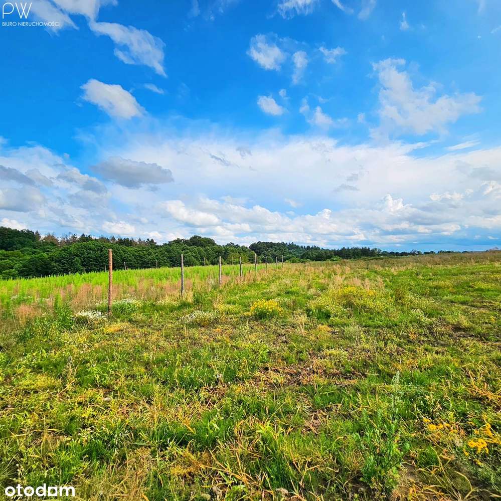 Działki przy lesie i rzeczce - Pełny obrazek: 5/16