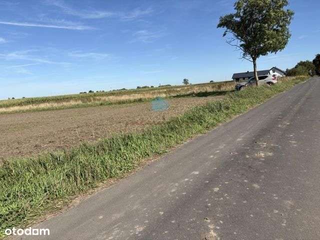 Grunt pod inwestycje Owieczki gm. Łubowo-4