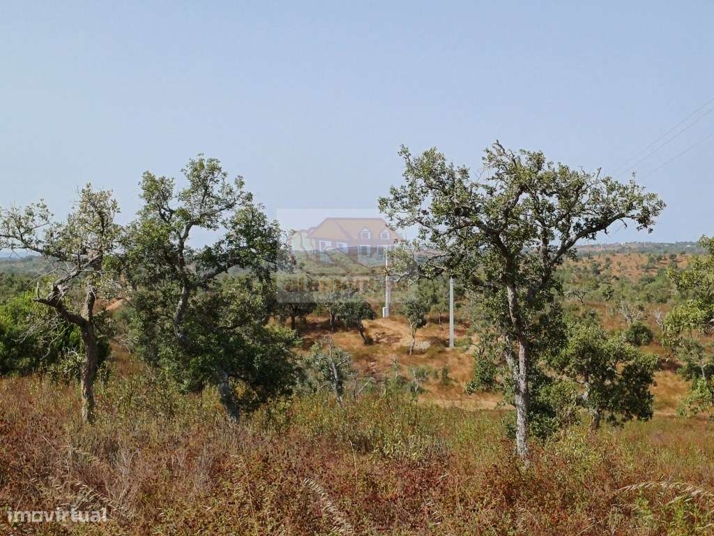 Hotel Rural: PRONTO A CONSTRUIR com todos os projectos aprovados-9