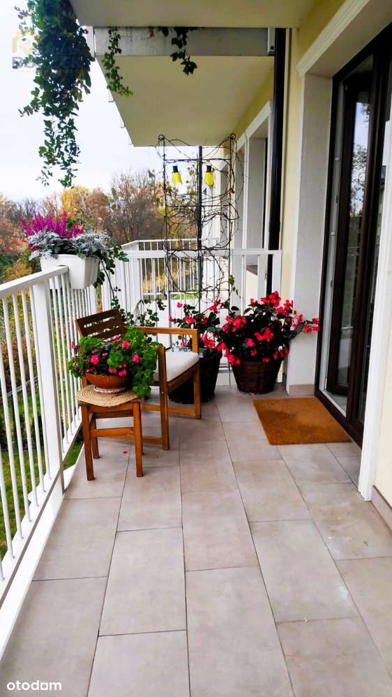 Sprzedam 2-pokojowe mieszkanie w Passie-15