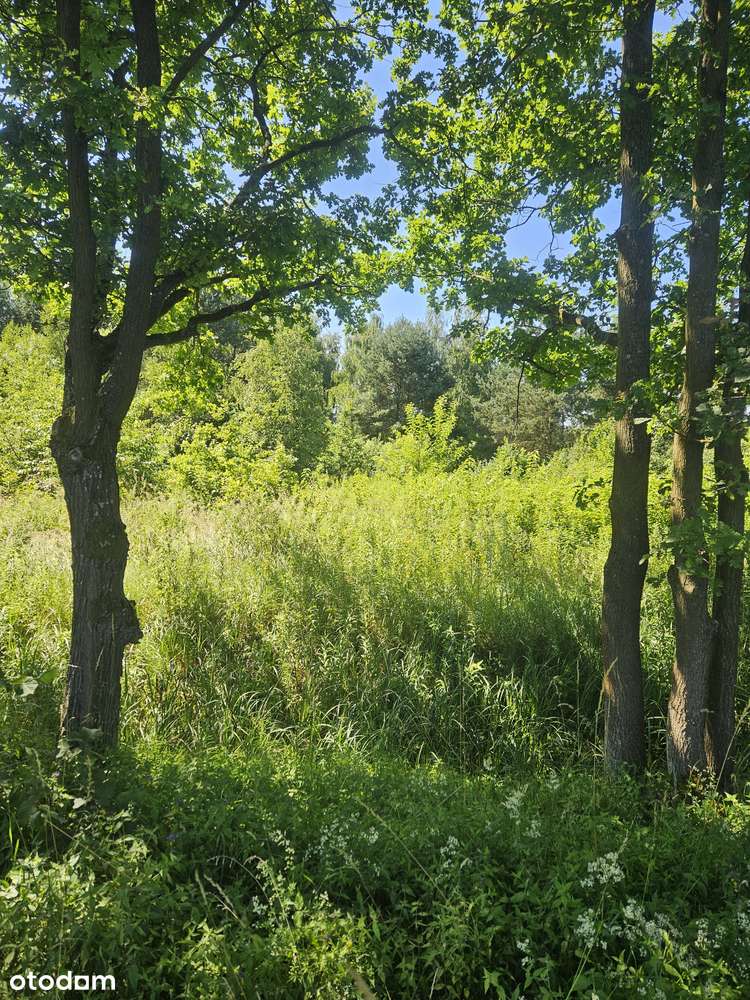 POLECAMY sprzedaż działki budowlanej w Chwałowicach-9