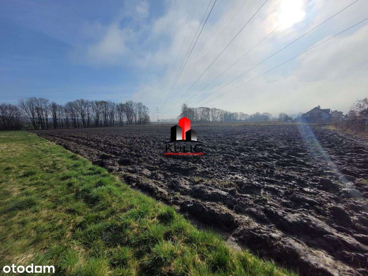 Kobylany rolno - budowlana - Pełny obrazek: 4/7