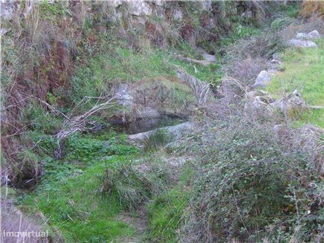 QUINTINHA C/ 2.720m²!! - Grande imagem: 4/9