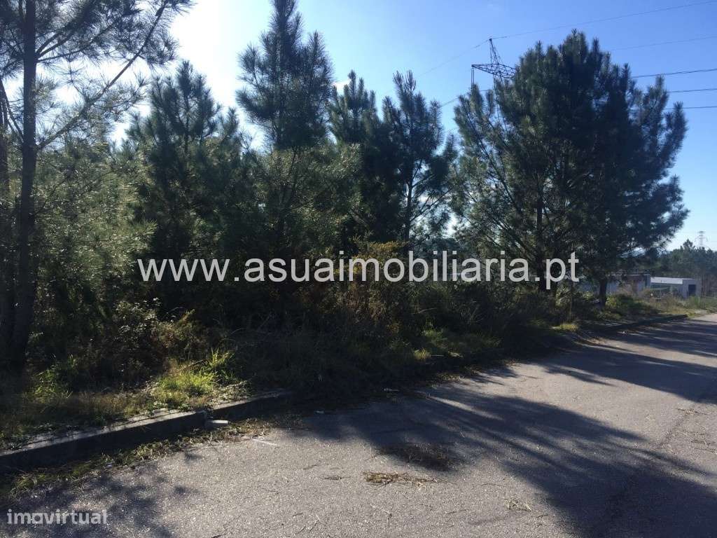 Lote Industrial - Monsul - Grande imagem: 2/4