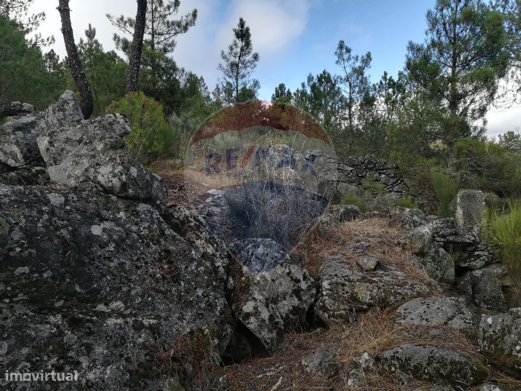 Terreno para Venda - Grande imagem: 1/5