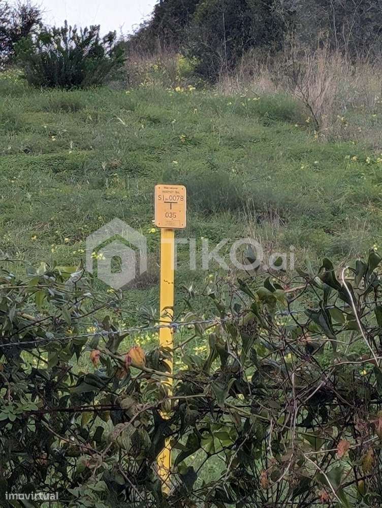 Terreno Rústico com Vista Deslumbrante às Portas de Lisboa-20