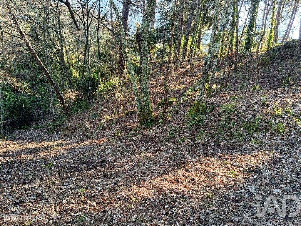 Casa / Villa T6 em Soalhães de 250 m2 - Grande imagem: 5/8