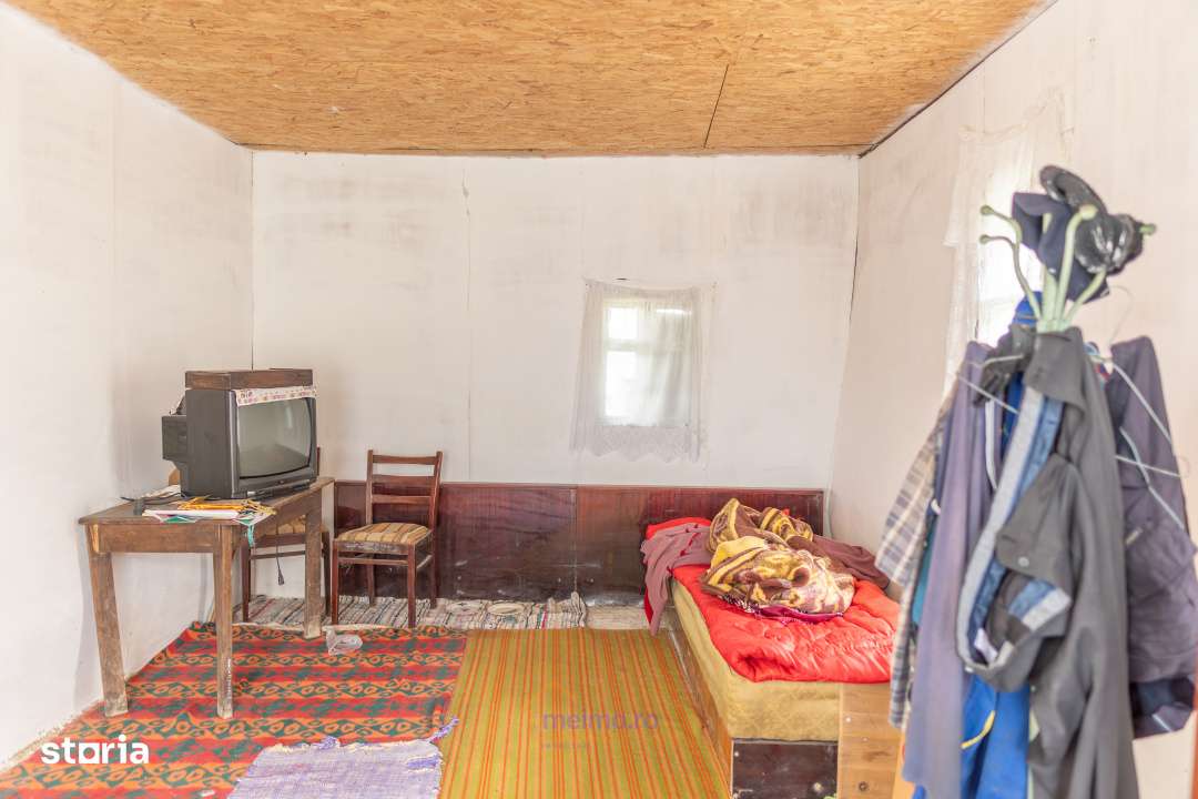 Casa din chirpici, bucatarie de vara si 1.34 ha de teren, Ardeoani-12