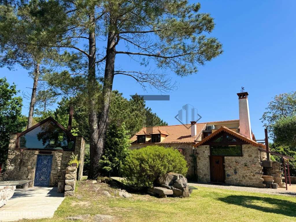 Quinta de Charme com Vinhas, Produção de Vinho e Piscina, para Vend... - Grande imagem: 4/60