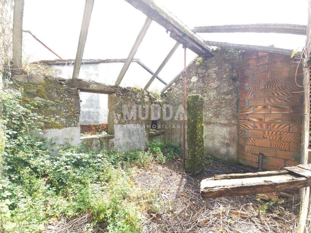 Moradia em Ruína, Pessegueiro do Vouga, Sever do Vouga - Grande imagem: 5/9