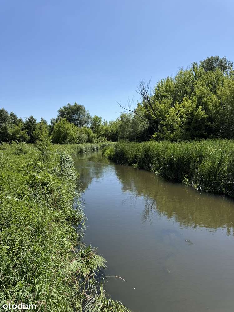 Przepiękna działka leśno - budowlana, w dorzeczu Warty, Kłobukowice !-9
