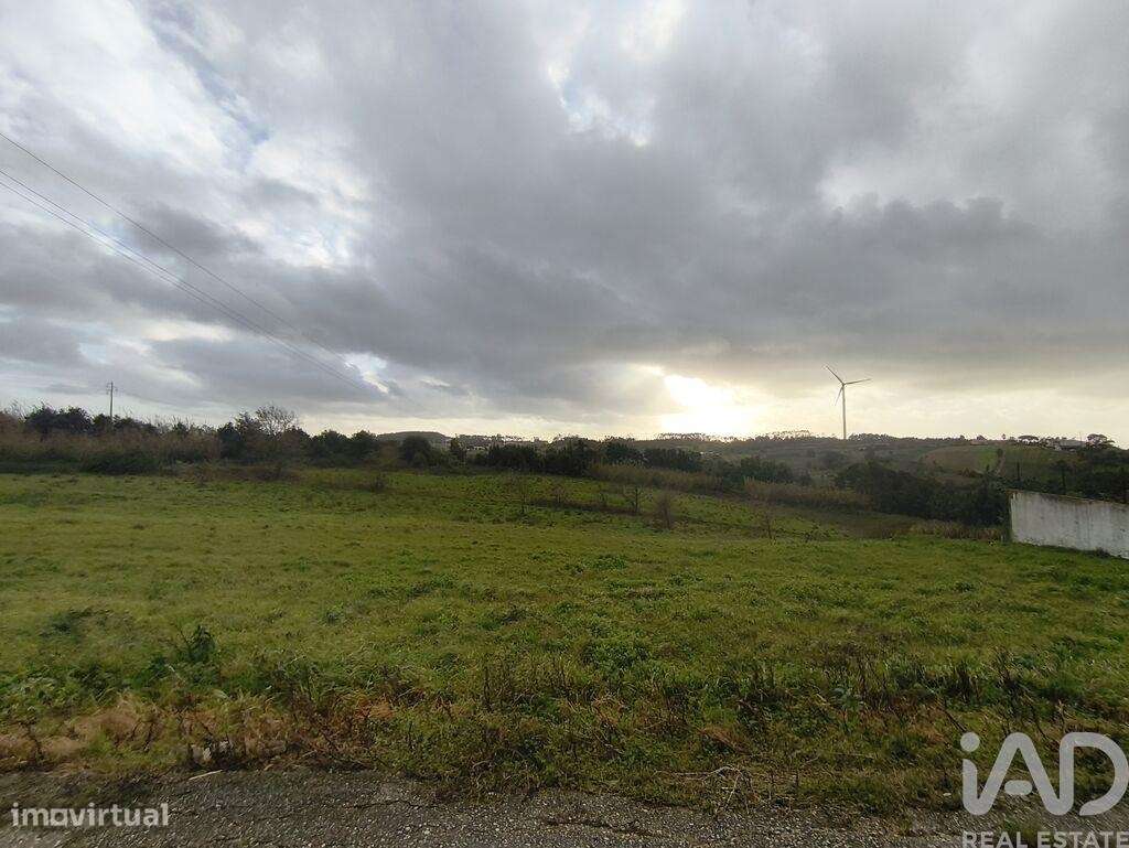 Terreno Agrícola em Cela - Grande imagem: 4/9