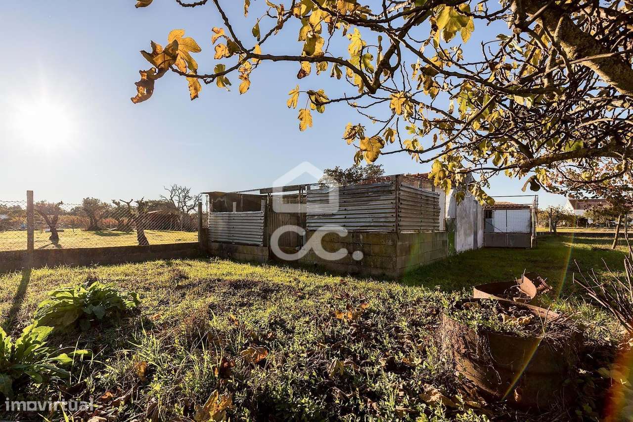 Terreno de  1.350 m² c/ Anexo de Apoio Agrícola | Canaviais, Évora-12