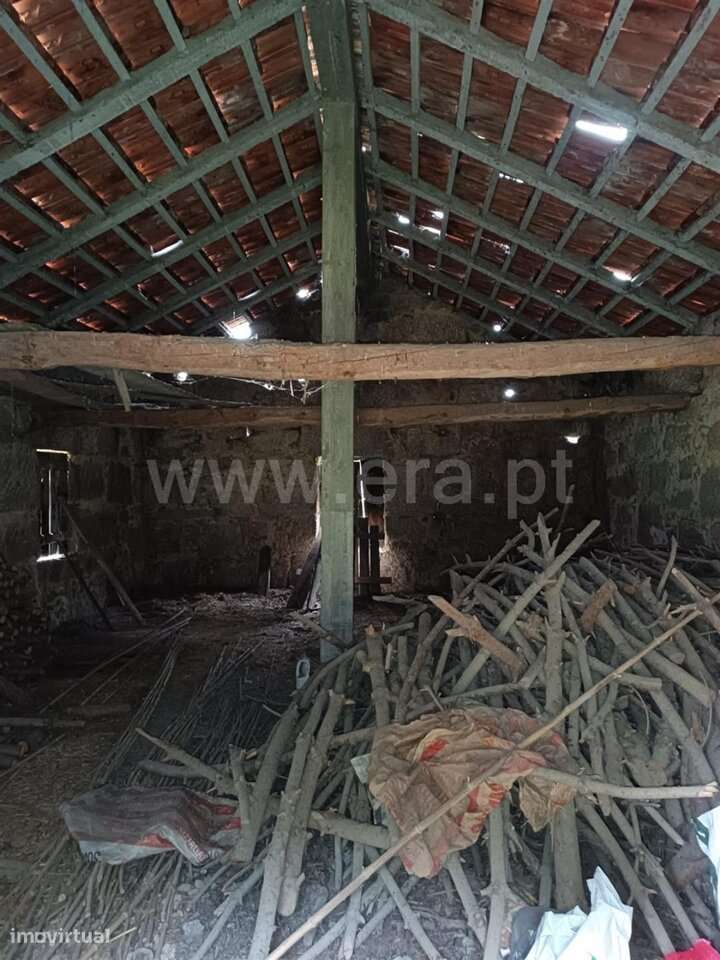 Terreno / Seia, Paranhos - Grande imagem: 2/15