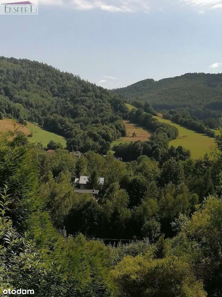 Pensjonat z funkcją mieszkalną lub dom dwurodzinny-14