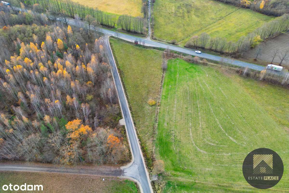 3 544 m² bezpośrednio przy drodze IDEALNApodUSŁUGI - Pełny obrazek: 4/12