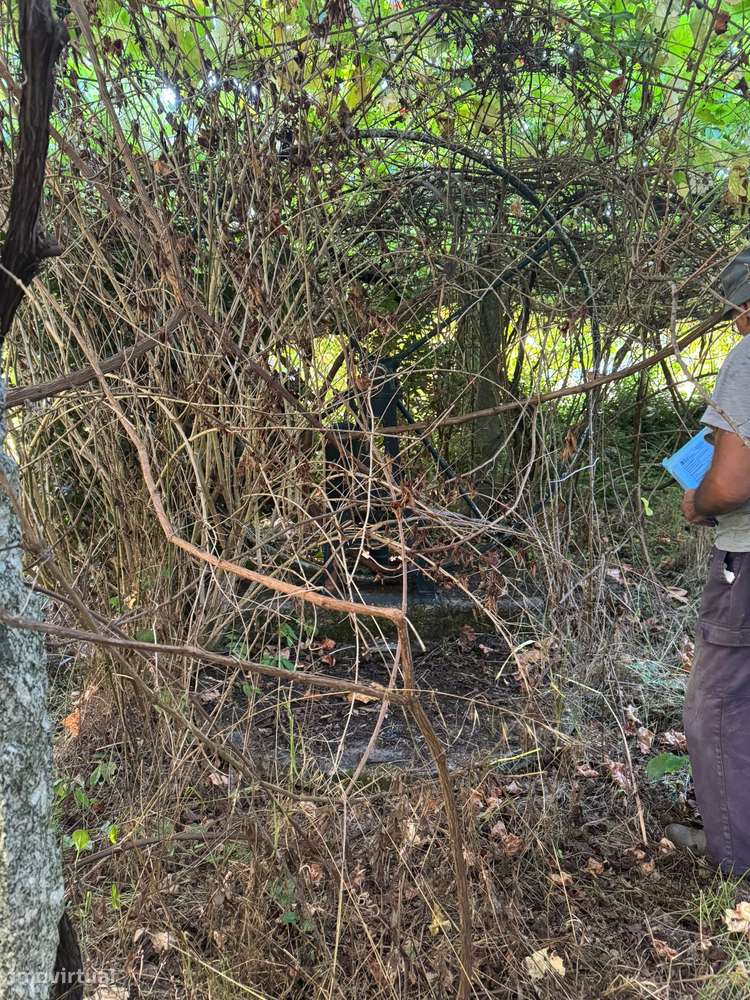 Moradia T5 em Beiral do Lima com terreno-11