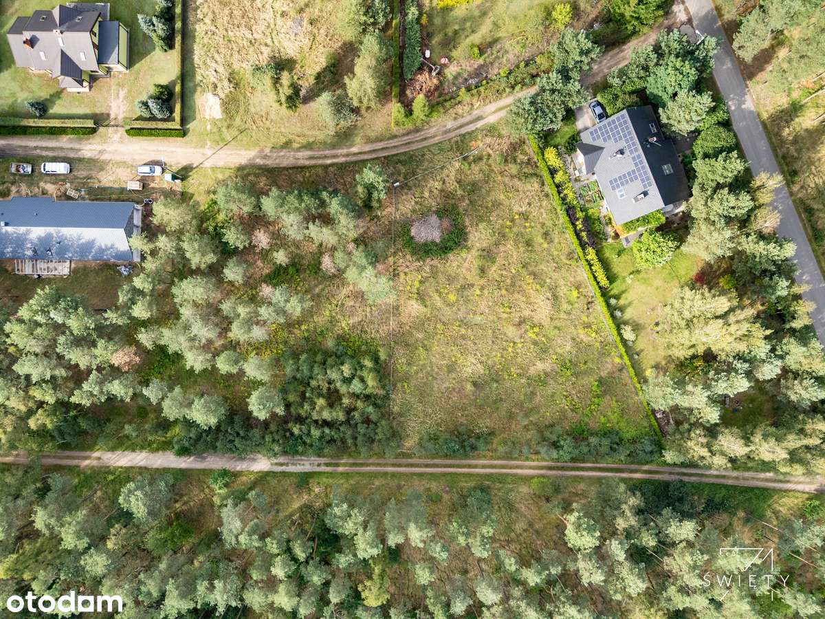 Urokliwe działki na skraju Puszczy Zielonki - Pełny obrazek: 4/18