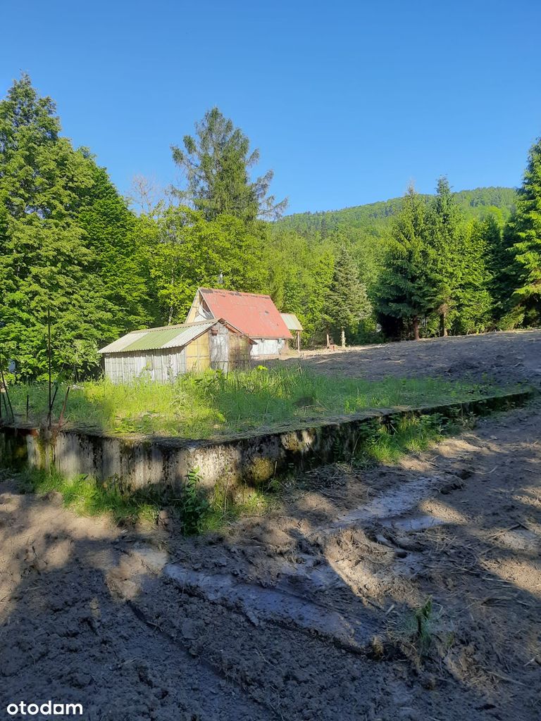 Działka z domkiem letniskowym i fundamentami pod dom Lipnik 2160 m2 - Pełny obrazek: 1/7