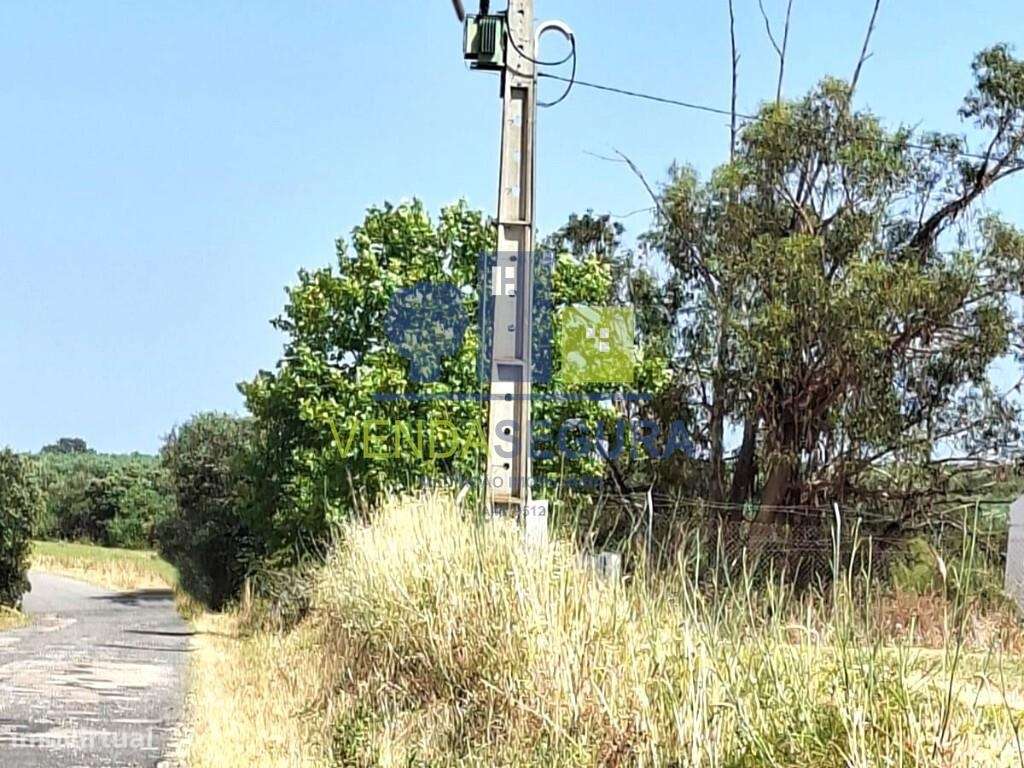 Herdade | Sobral da Adiça-14