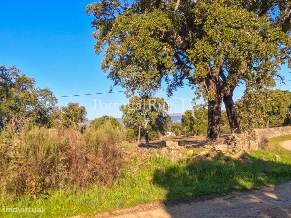 Quintinha com 1,2ha e ruína urbana em São Miguel Acha-17