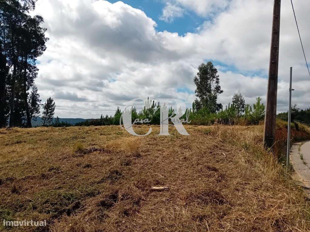 Terreno Rústico em Bairradas, Figueiró dos Vinhos, com viabilidade par - Grande imagem: 4/12