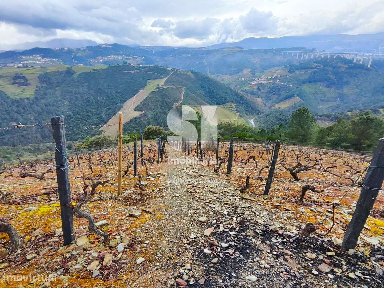 Terreno - Grande imagem: 2/16