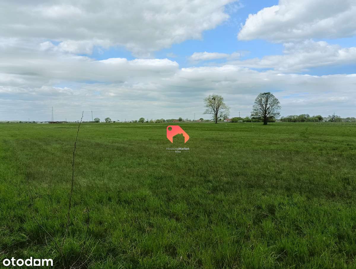 Działka Przy Lesie - Nekla  1224m2 Budowlana - Pełny obrazek: 5/6