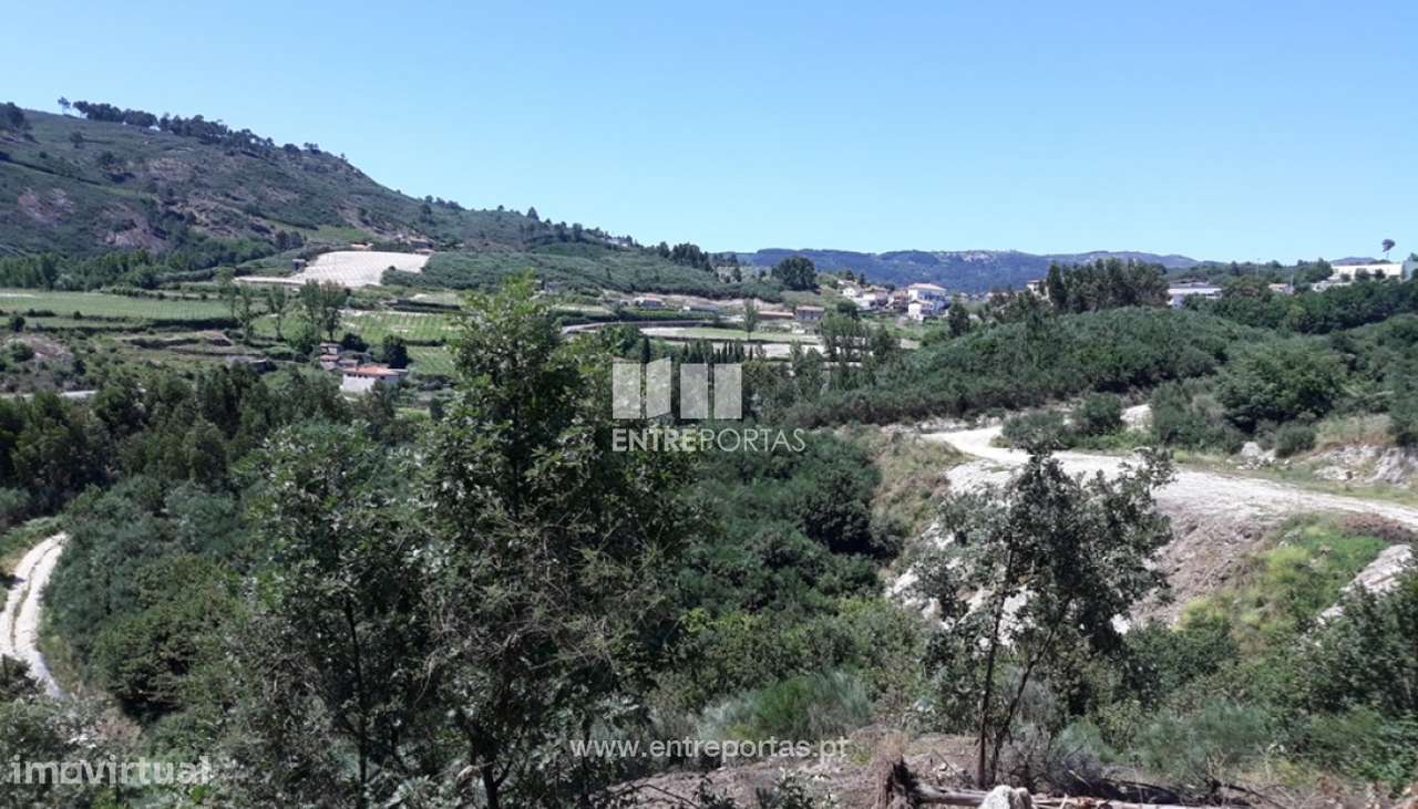 Venda Terreno, Ancede, Baião - Grande imagem: 2/6