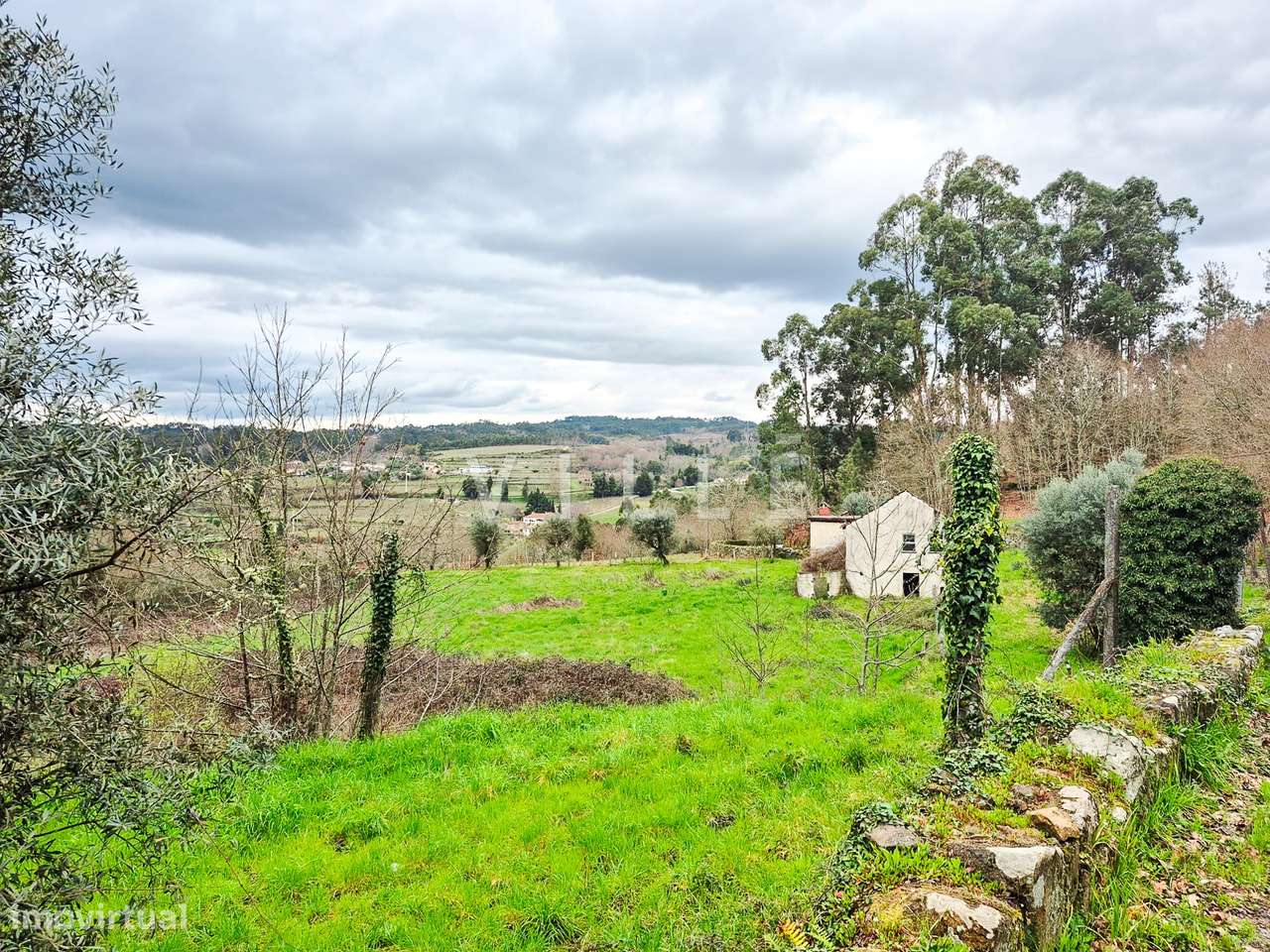 Moradia para restaurar em Vouzela - Grande imagem: 5/28