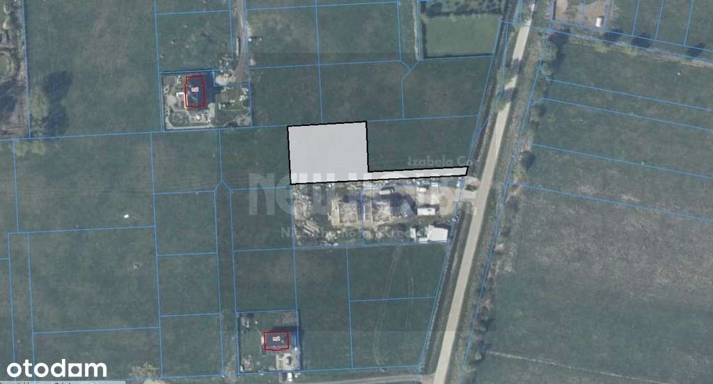 NEW20068 - Pełny obrazek: 5/5