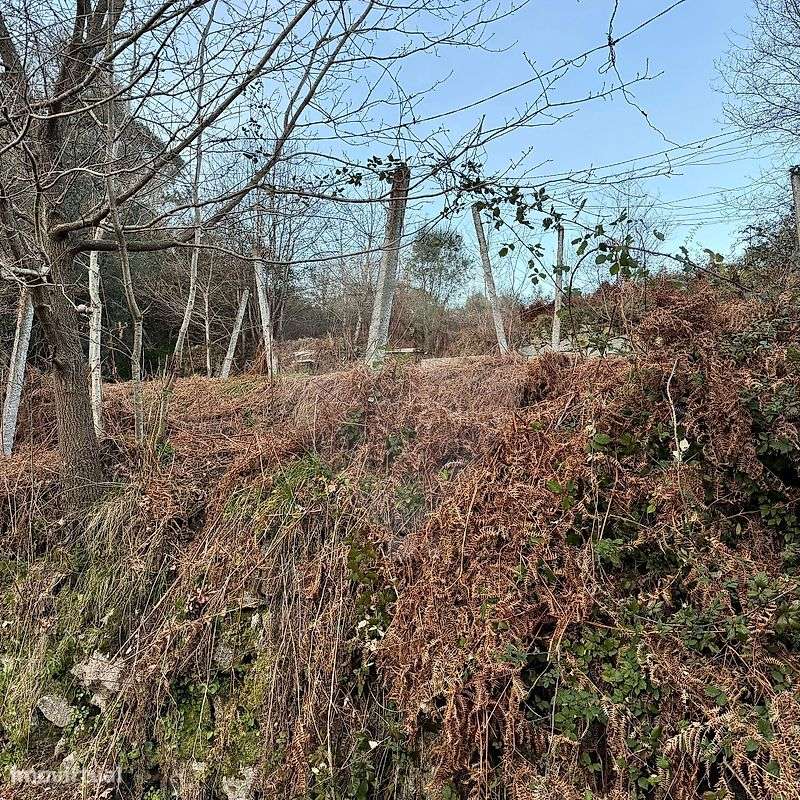 Terreno  para venda - Grande imagem: 4/6