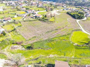 Terreno  para venda