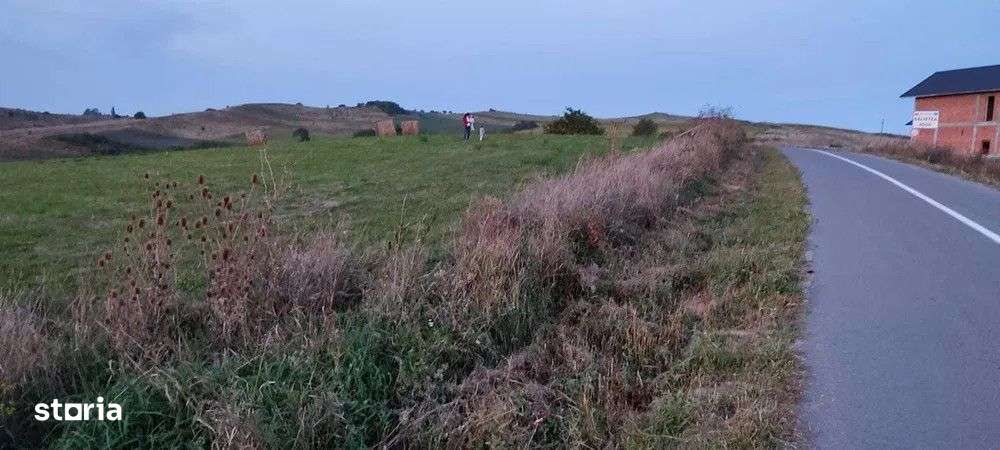 Teren intravilan,3000 mp,front 30ml,Salistea Noua - Imagine principală: 4/4